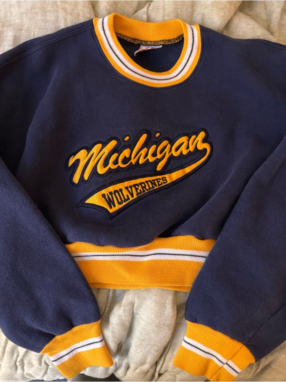 Vintage 90s University of Michigan Crewneck